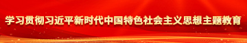 黄色糙逼视频在线观看学习贯彻习近平新时代中国特色社会主义思想主题教育