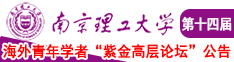 高中生操逼视频南京理工大学第十四届海外青年学者紫金论坛诚邀海内外英才！